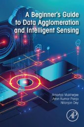 book A Beginner's Guide to Data Agglomeration and Intelligent Sensing