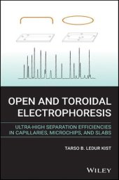 book Open and Toroidal Electrophoresis: Ultra-High Separation Efficiencies in Capillaries, Microchips and Slabs