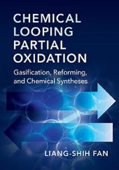 book Chemical Looping Partial Oxidation: Gasification, Reforming, and Chemical Syntheses