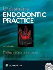 book Grossman's endodontic practice.