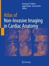 book Atlas of Non-Invasive Imaging in Cardiac Anatomy