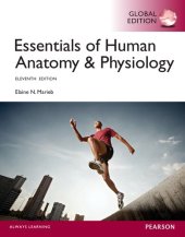 book Essentials of Human Anatomy & Physiology