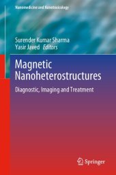 book Magnetic Nanoheterostructures: Diagnostic, Imaging and Treatment