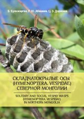 book Складчатокрылые осы (hymenoptera, vespidae) Северной Монголии: Solitary and social wasps (hymenoptera, vespidae) in Northern Mongolia