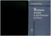 book Ударные волны и детонация в газах