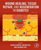 book Wound Healing, Tissue Repair, and Regeneration in Diabetes