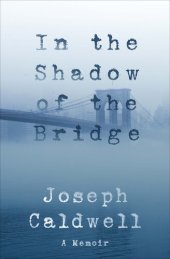 book In the Shadow of the Bridge: a memoir