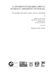 book La inversión extranjera directa en México: desempeño y potencial. Una perspectiva macro, meso, micro y territorial