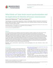 book What binds us? Inter-brain neural synchronization and its implications for theories of human consciousness