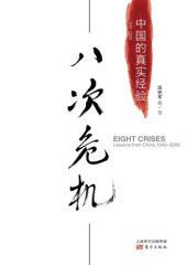 book 八次危机:中国的真实经验