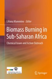 book Chemical Issues in Biomass Burning in Sub-Saharan Africa