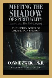 book Meeting the Shadow of Spirituality: The Hidden Power of Darkness on the Path