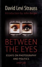 book Between the Eyes: Essays on Photography and Politics