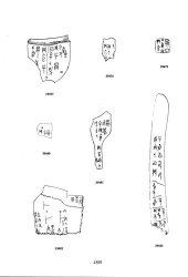 book 甲骨文合集13 Oracle Bone Script Collection Vol.13