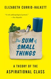 book The Sum of Small Things