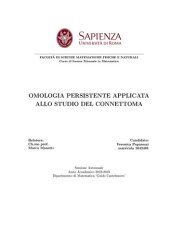 book Omologia persistente applicata allo studio del conenettoma