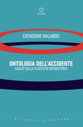 book Ontologia dell'accidente. Saggio sulla plasticità distruttrice