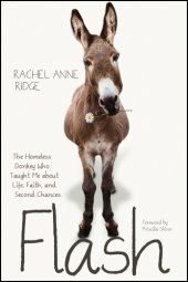 book Flash: the homeless donkey who taught me about life, faith, and second chances