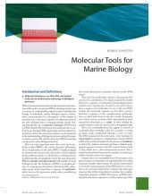 book Marine Biology: Function, Biodiversity, Ecology (Fifth Edition) - Bonus Chapter: Molecular Tools for Marine Biology