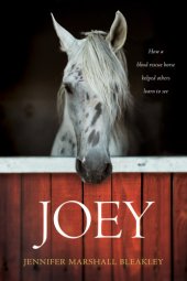 book Joey: how a blind rescue horse helped others learn to see