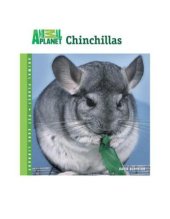 book Chinchillas