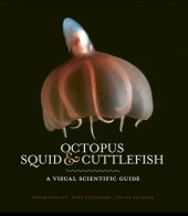 book Octopus, Squid and Cuttlefish