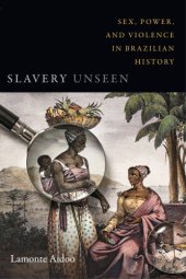 book Slavery unseen: sex, power, and violence in Brazilian history