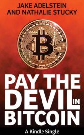 book Pay the Devil in Bitcoin: The Creation of a Cryptocurrency and How Half a Billion Dollars of It Vanished from Japan