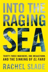 book Into the raging sea: thirty-three mariners, one megastorm, and the sinking of the El Faro