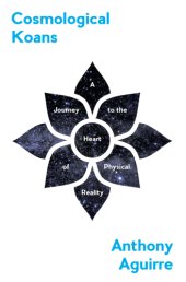 book Cosmological koans: a journey to the heart of physical reality