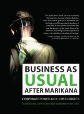 book Business as usual after Marikana: corporate power and human rights