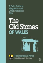 book The Old Stones of Wales