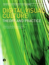 book Digital visual culture: theory and practice