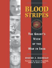 book Blood stripes: the grunt's view of the war in Iraq