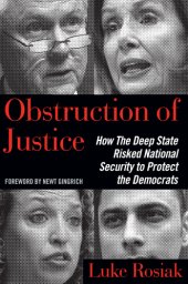 book Obstruction of justice: how the deep state risked national security to protect democrats