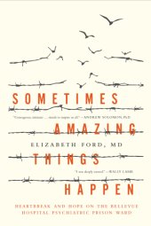 book Sometimes amazing things happen: heartbreak and hope on the Bellevue Hospital psychiatric prison ward