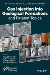 book Gas Injection into Geological Formations and Related Topics