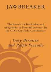 book Jawbreaker: the attack on Bin Laden and Al Qaeda: a personal account by the CIA's key field commander