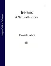 book Ireland