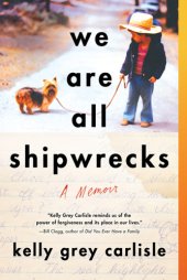 book We Are All Shipwrecks