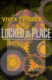 book Locked in Place: State-Building and Late Industrialization in India