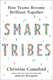 book Smarttribes: how teams become brilliant together