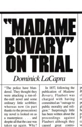 book Madame Bovary on Trial