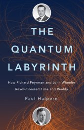 book The Quantum Labyrinth: How Richard Feynman and John Wheeler Revolutionized Time and Reality