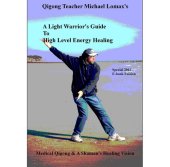 book A Light Warrior's Guide to High Level Energy Healing (Medical Qigong & A Shaman's Healing Vision Book 1)