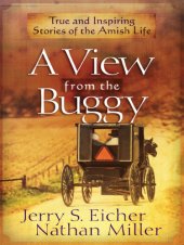 book A View from the Buggy