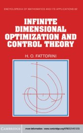 book Infinite dimensional optimization and control theory