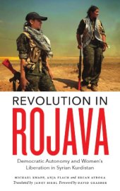 book Revolution in Rojava: democratic autonomy and women's liberation in Syrian Kurdistan