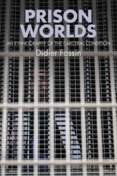 book Prison worlds: an ethnography of the carceral condition