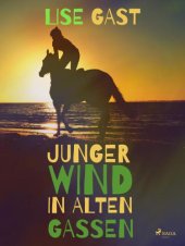 book Junger Wind in alten Gassen